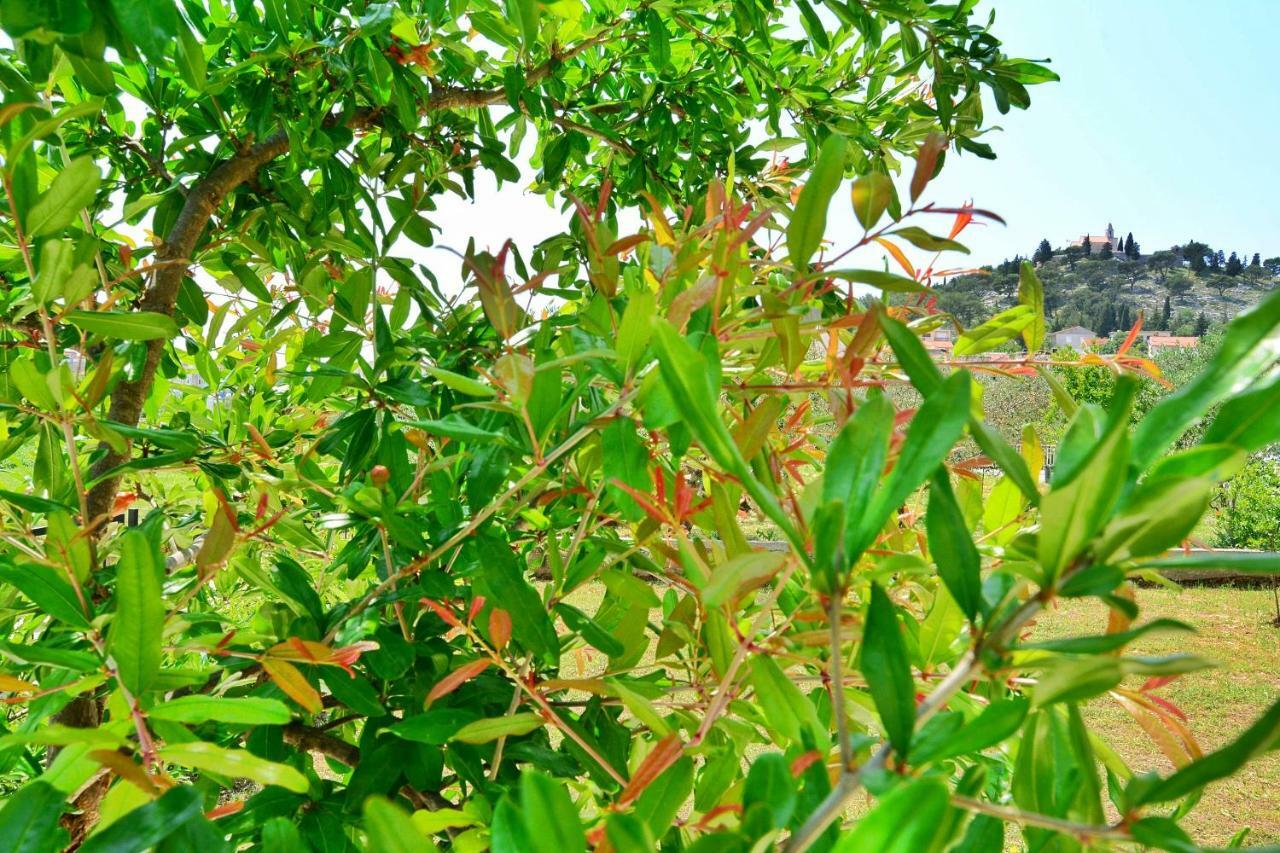 Tribalj Apartment Nadoveza מראה חיצוני תמונה